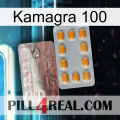 Kamagra 100 new13